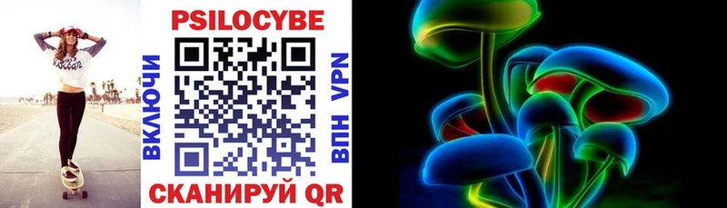 сколько стоит  Качканар  мега вход  Псилоцибиновые грибы прущие грибы 